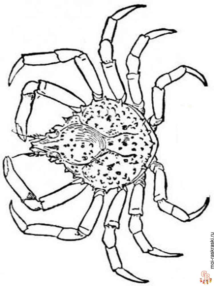 Coloriage crabes