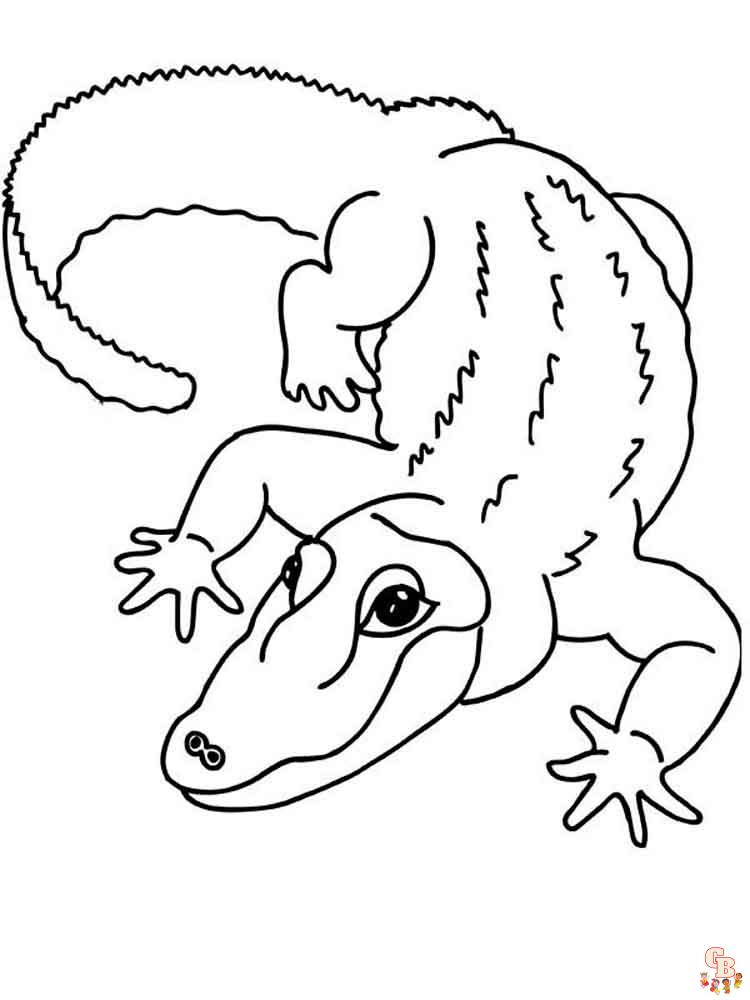 Coloriage crocodiles