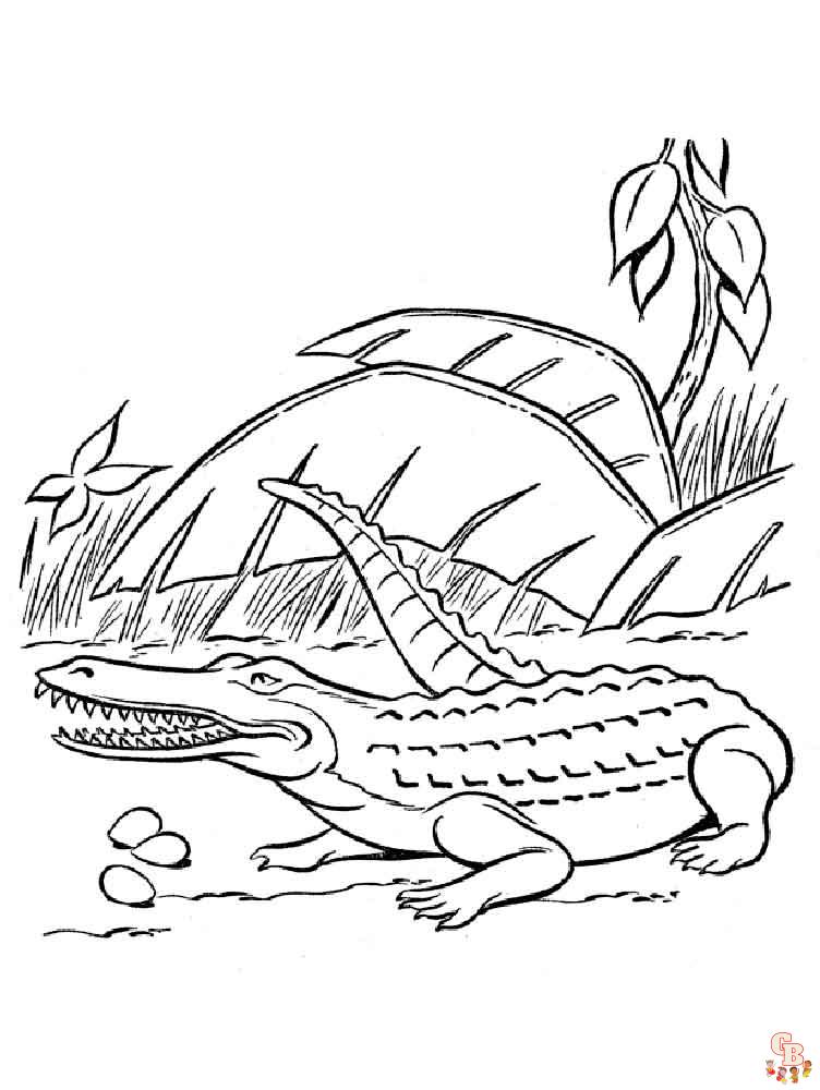 Coloriage crocodiles