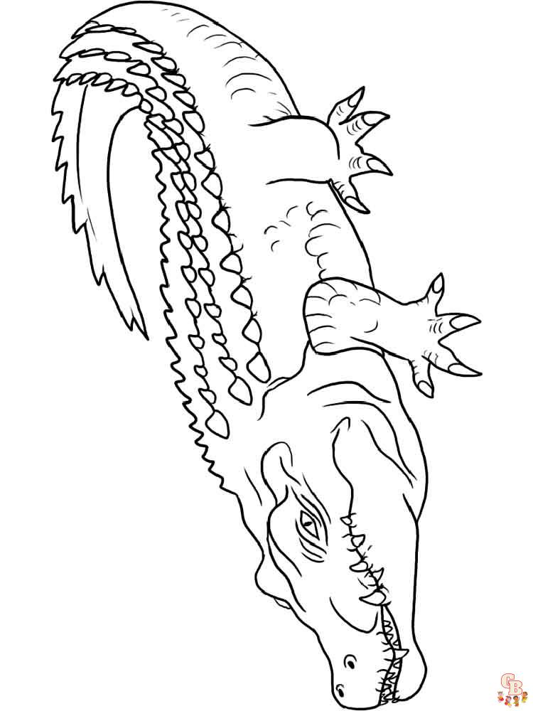 Coloriage crocodiles