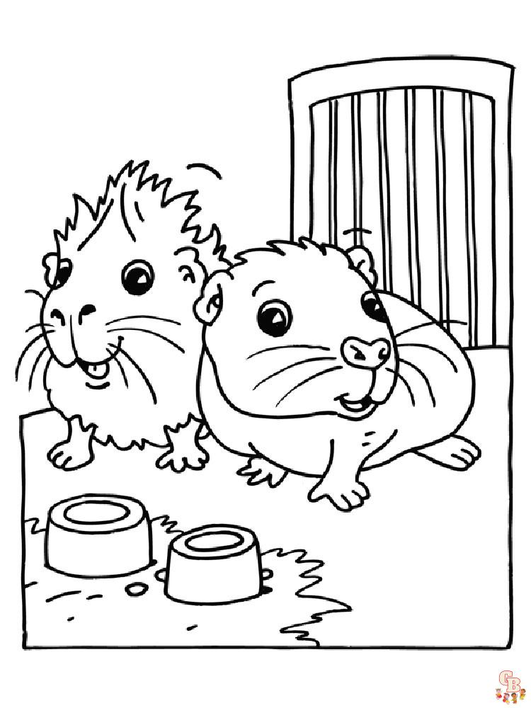 Coloriage hamster