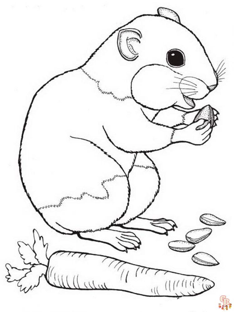 Coloriage hamster