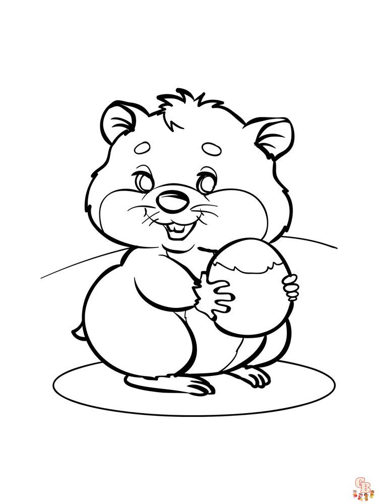 Coloriage hamster