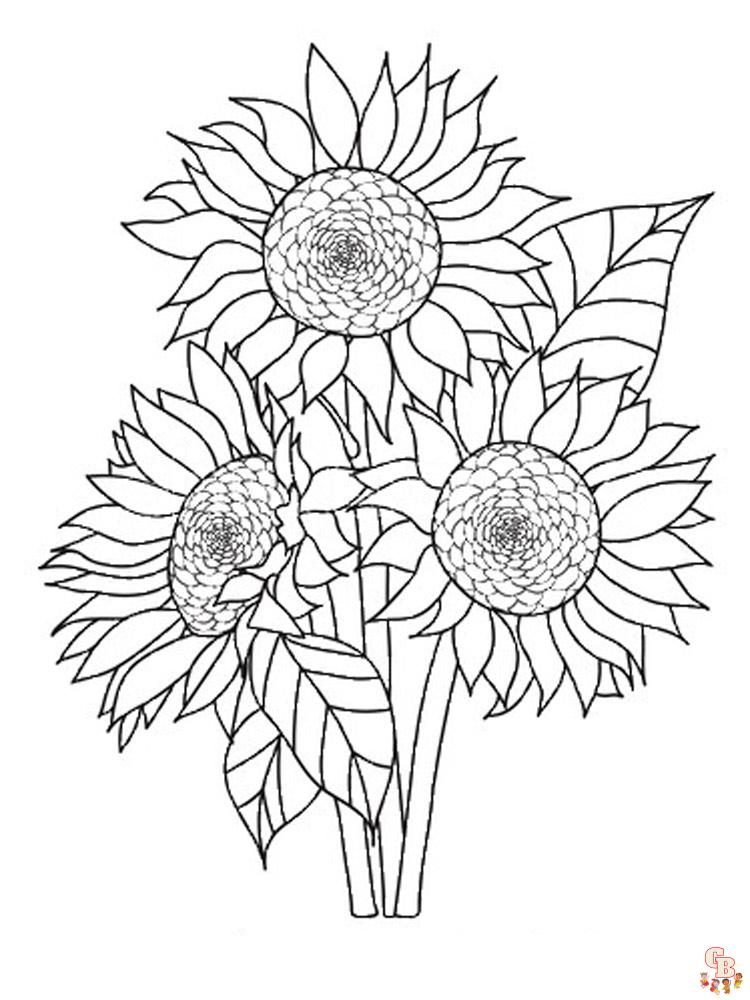 coloriage Tournesol