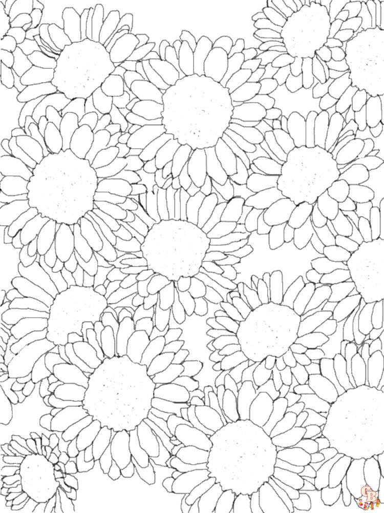 coloriage Tournesol