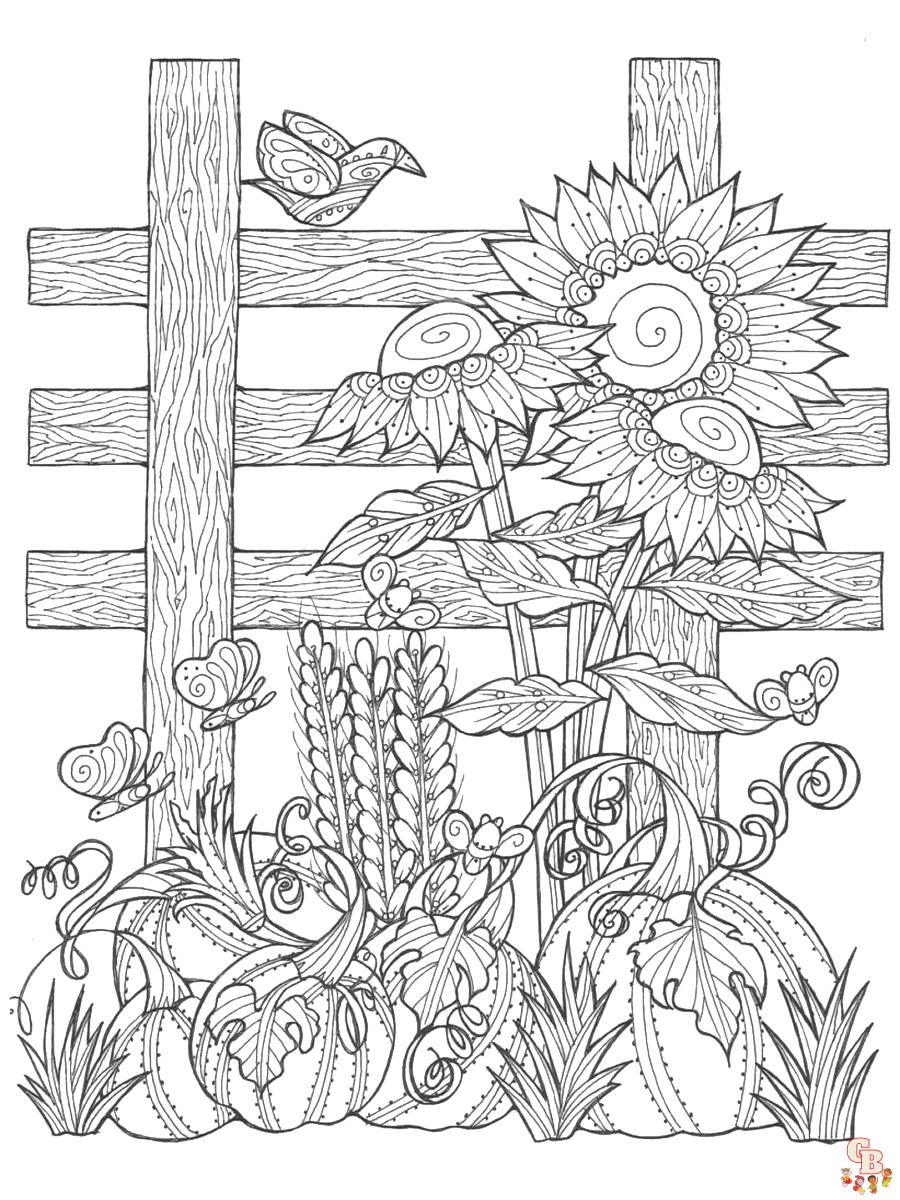 coloriage Tournesol