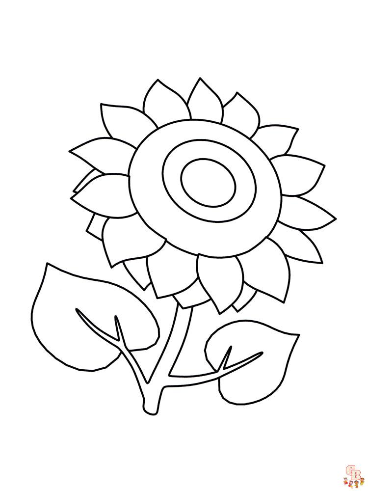 coloriage Tournesol