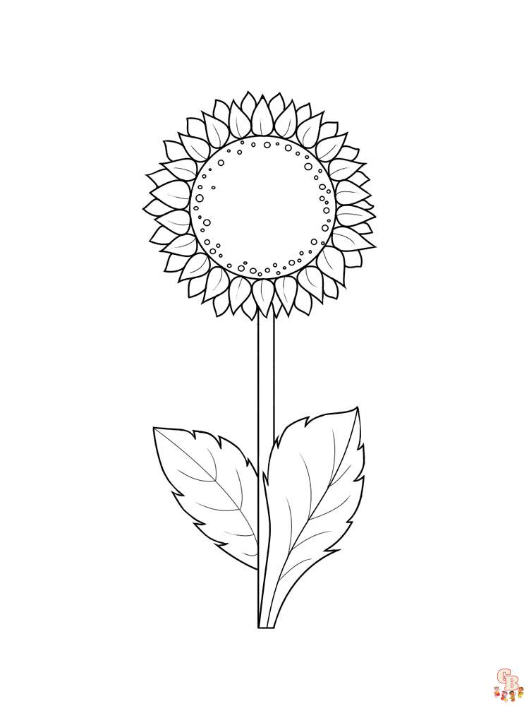 coloriage Tournesol