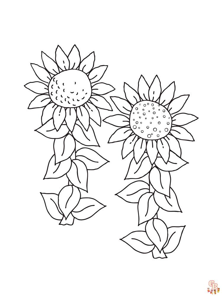 coloriage Tournesol