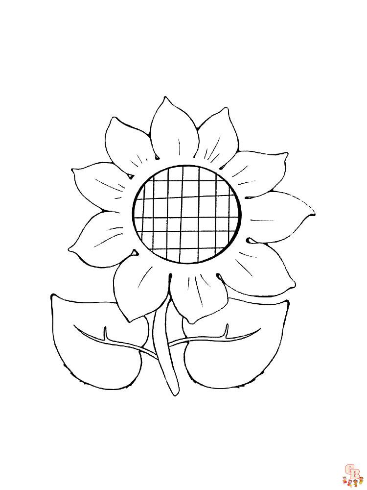 coloriage Tournesol