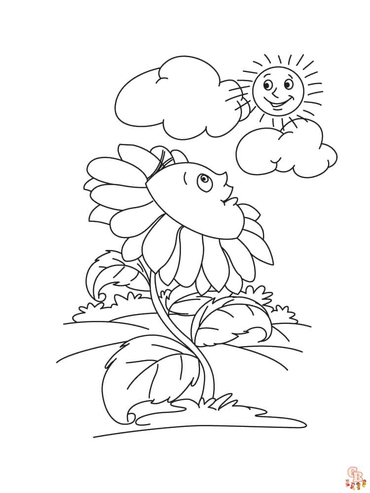 coloriage Tournesol