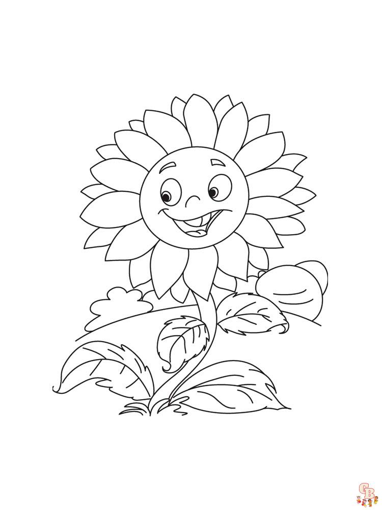 coloriage Tournesol