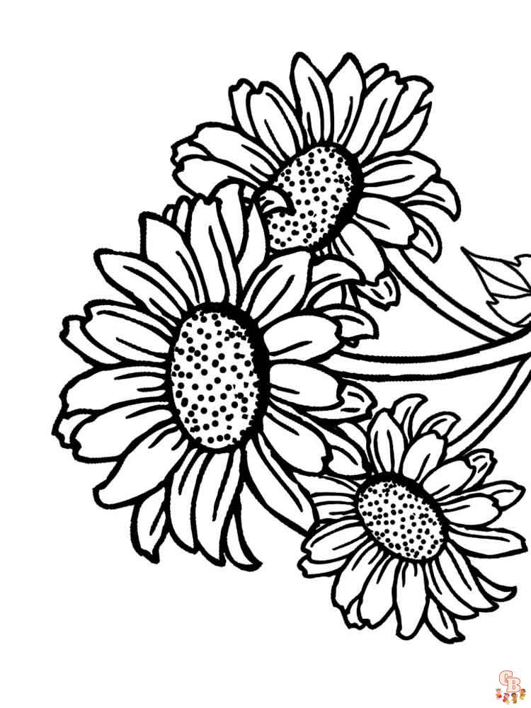 coloriage Tournesol