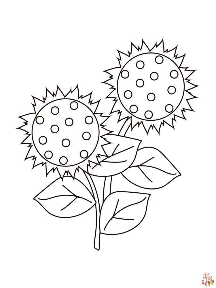 coloriage Tournesol