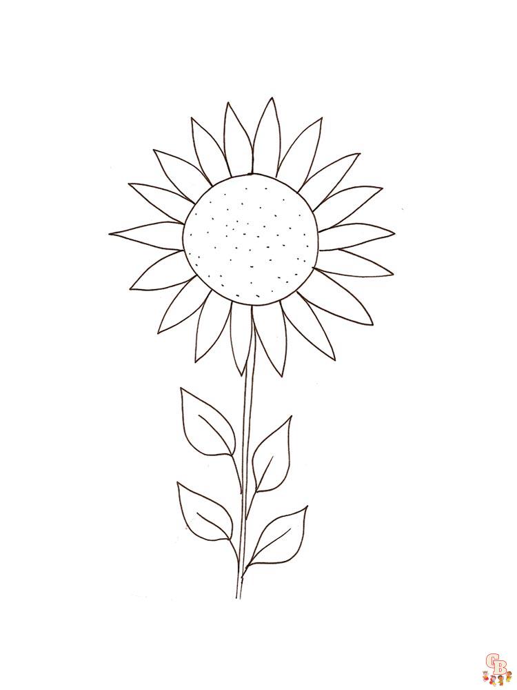 coloriage Tournesol