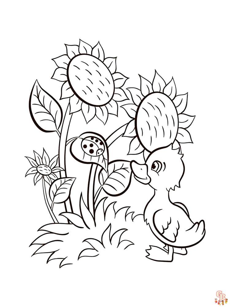 coloriage Tournesol