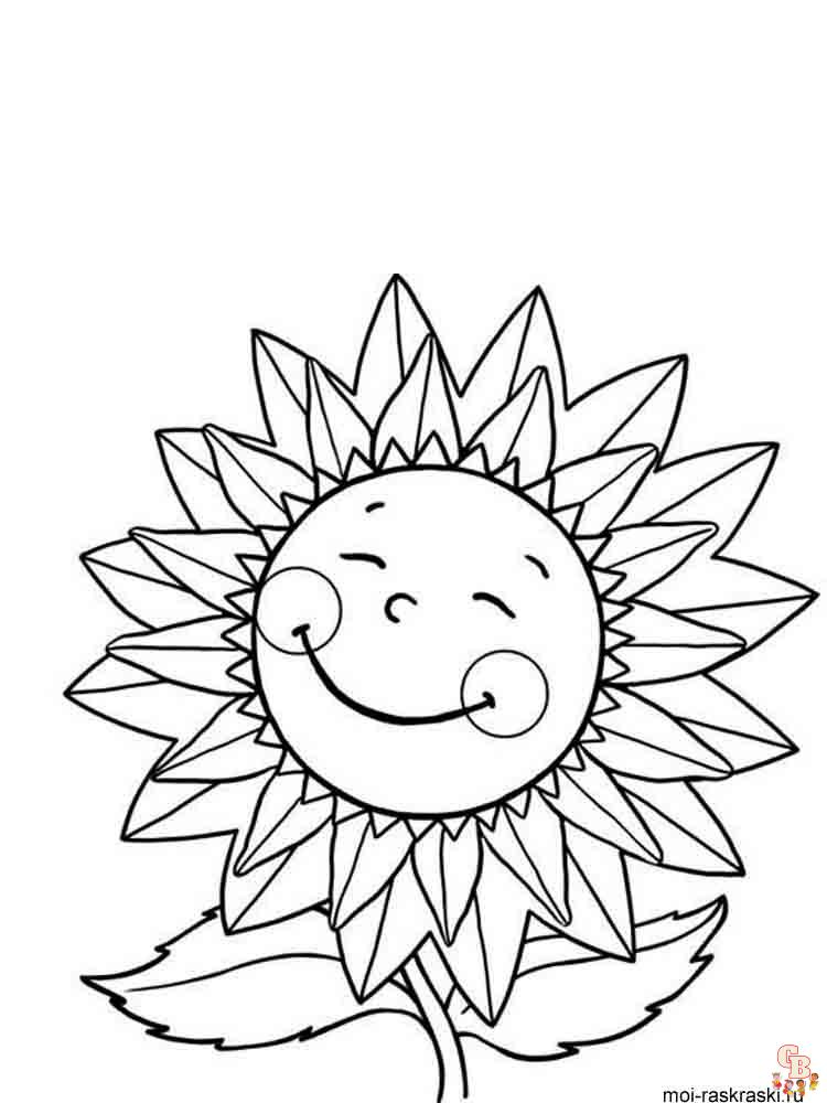 coloriage Tournesol