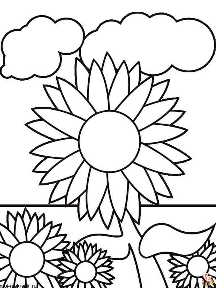 coloriage Tournesol