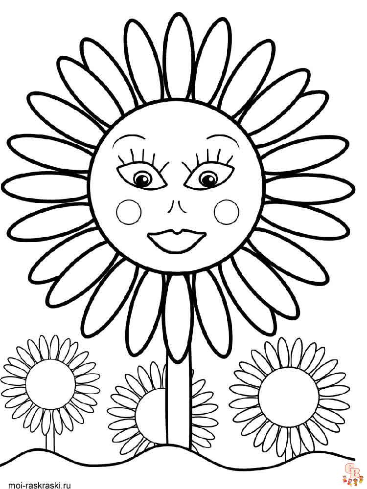 coloriage Tournesol