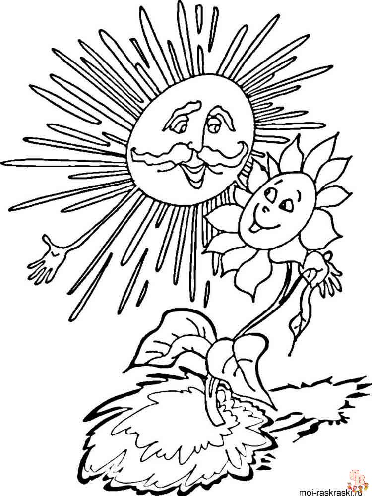 coloriage Tournesol