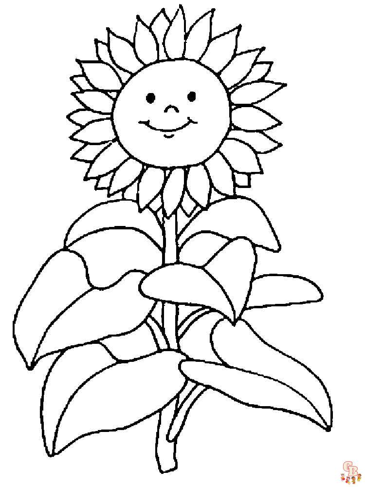 coloriage Tournesol