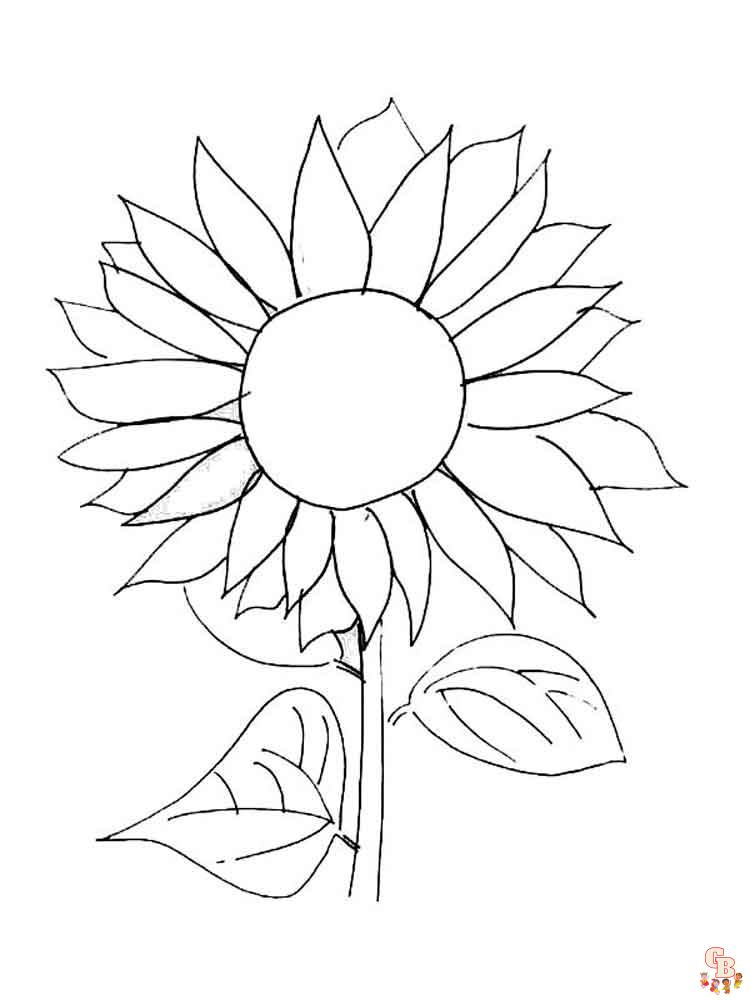 coloriage Tournesol