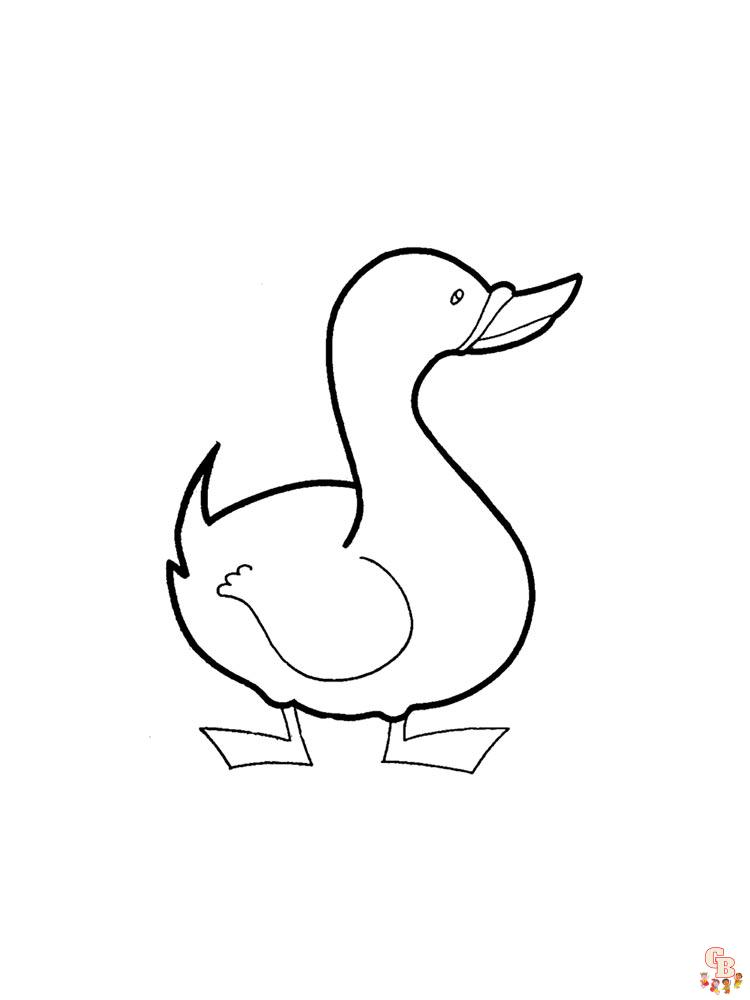 coloriage canard