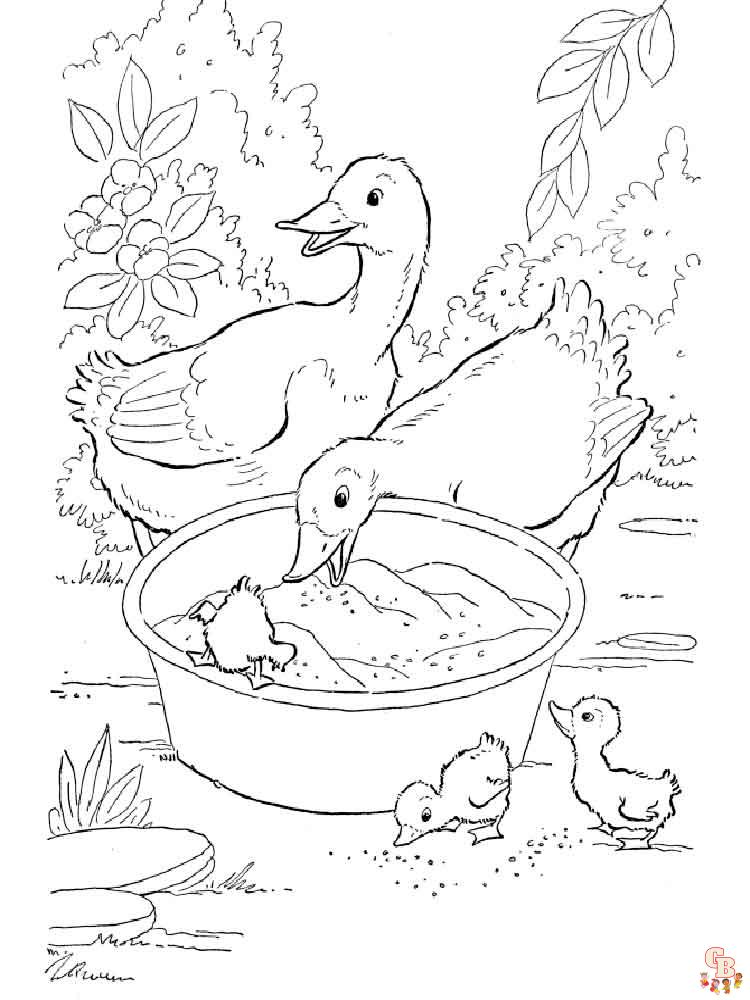 coloriage canard