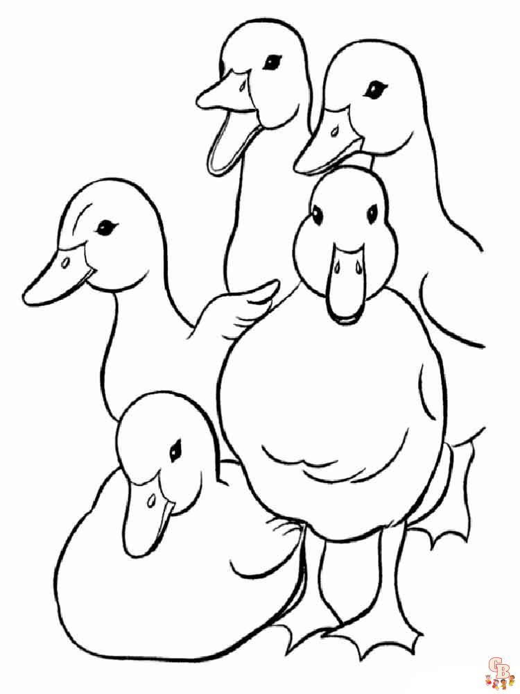 coloriage canard