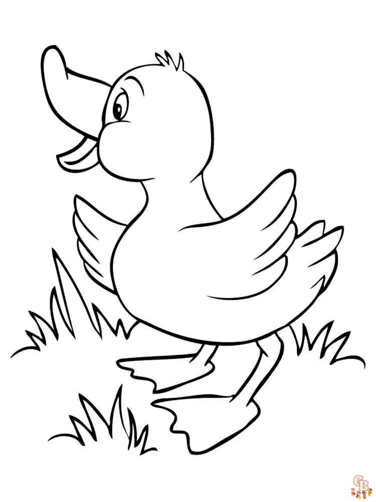 coloriage canard