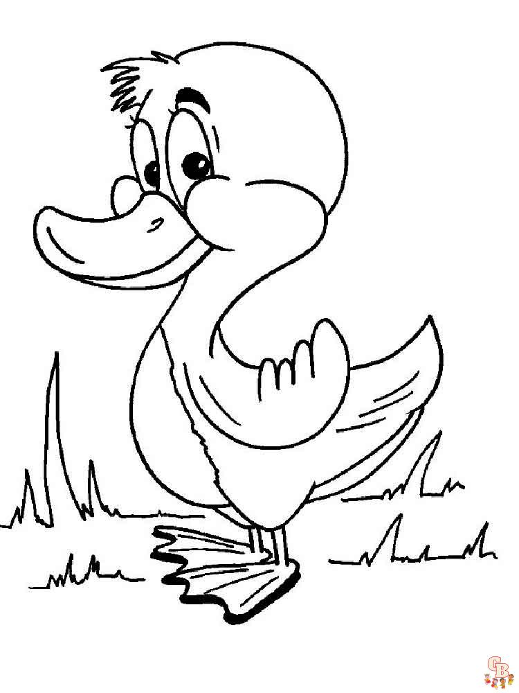 coloriage canard