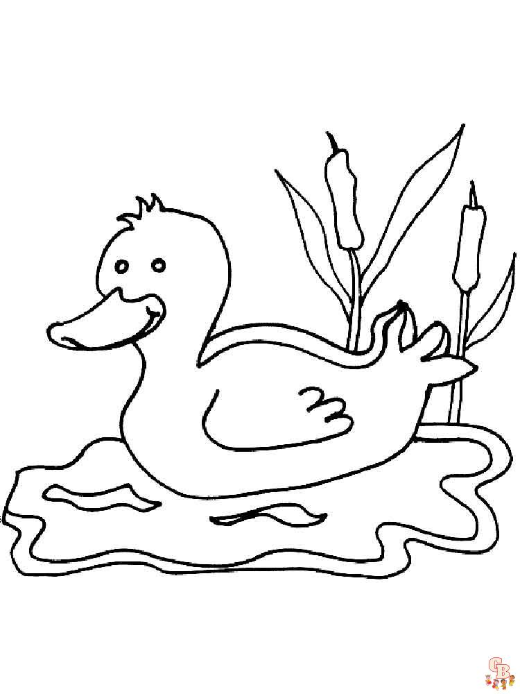 coloriage canard