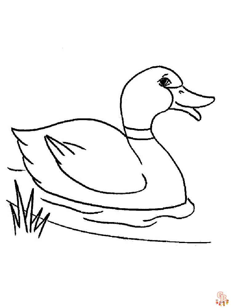 coloriage canard