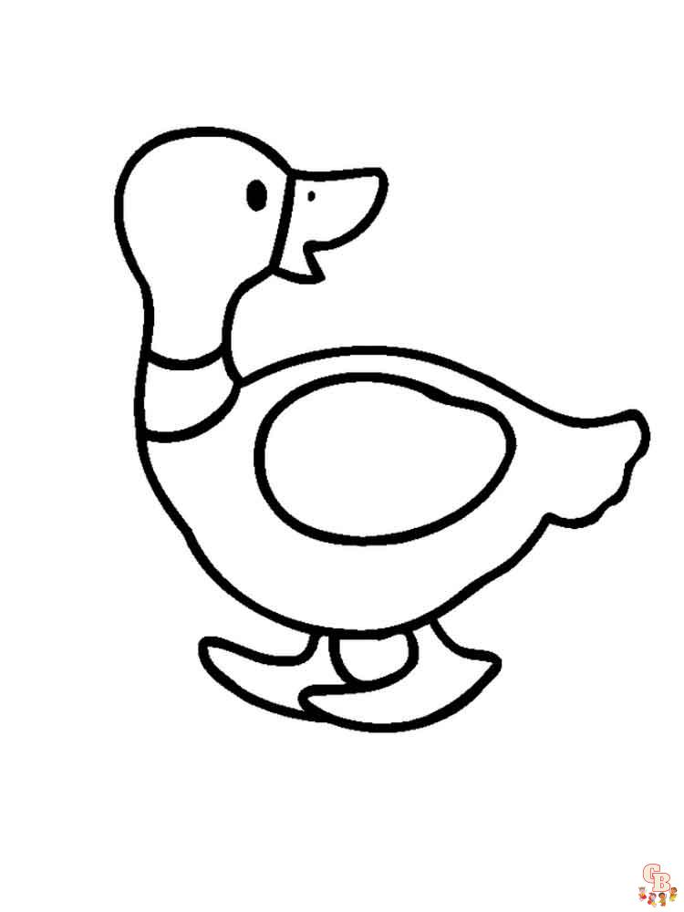 coloriage canard