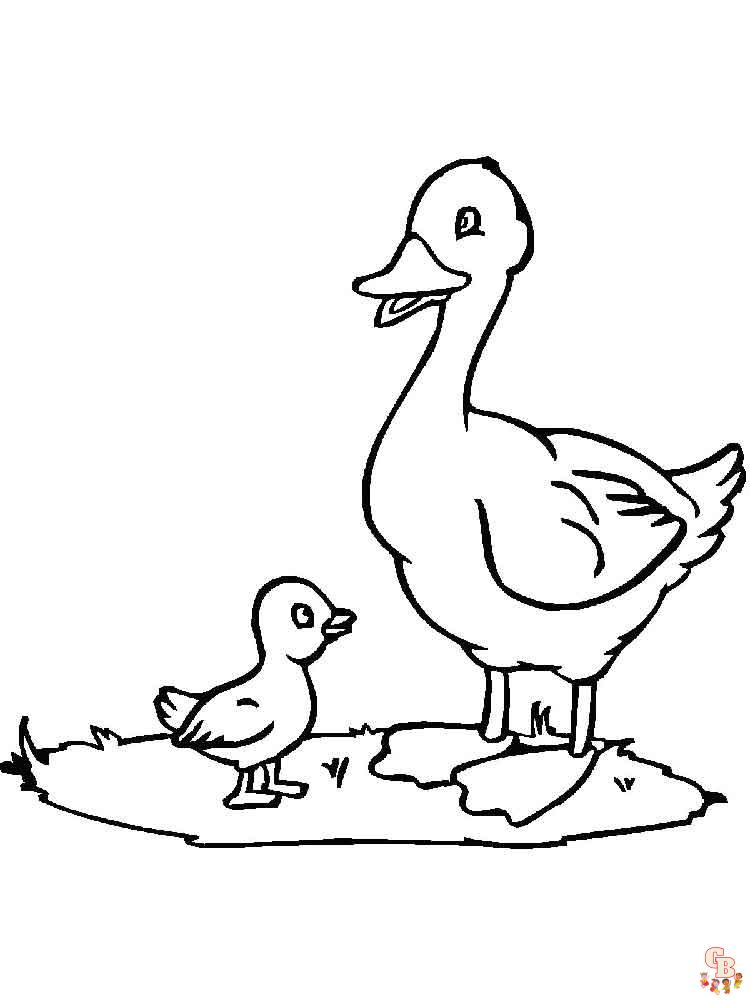 coloriage canard