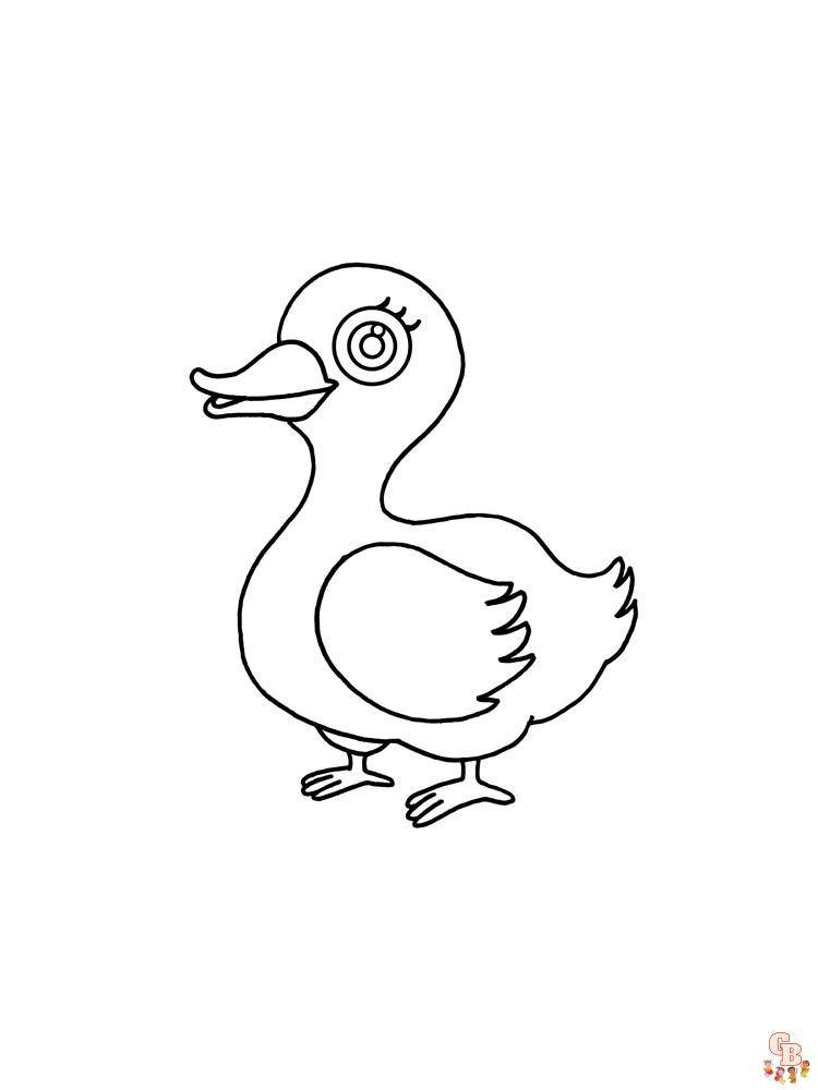 coloriage canard