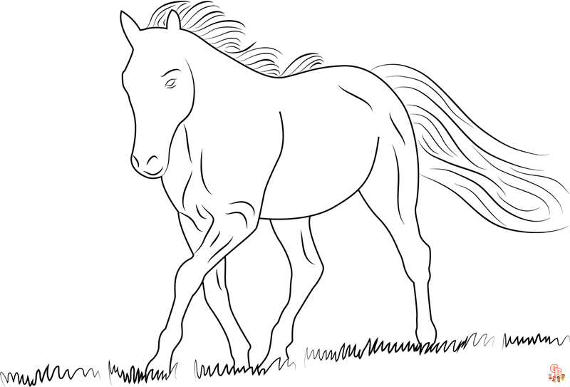 coloriage cheval