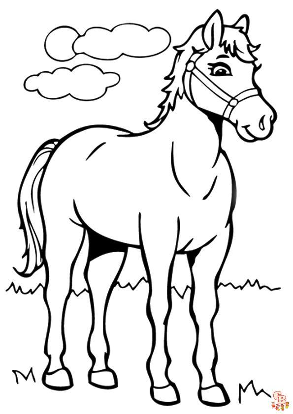 coloriage cheval