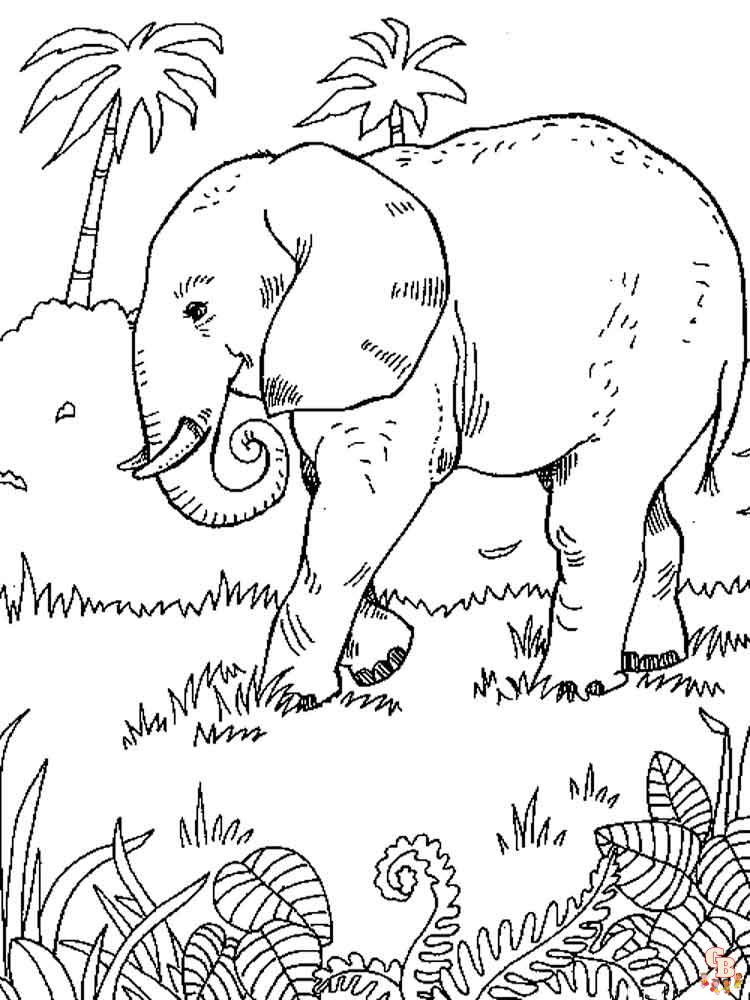 coloriage elephants