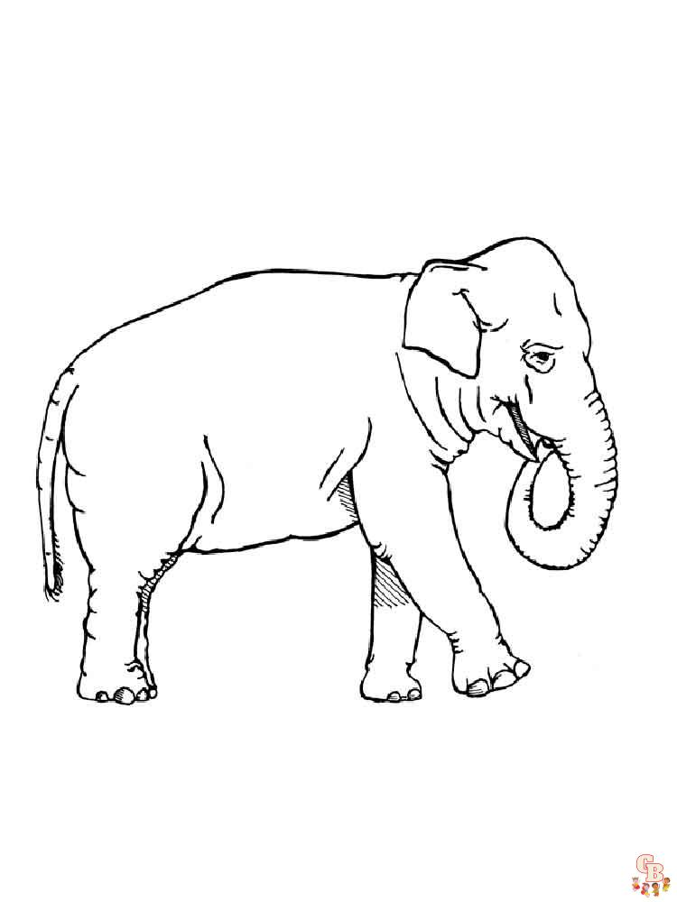 coloriage elephants