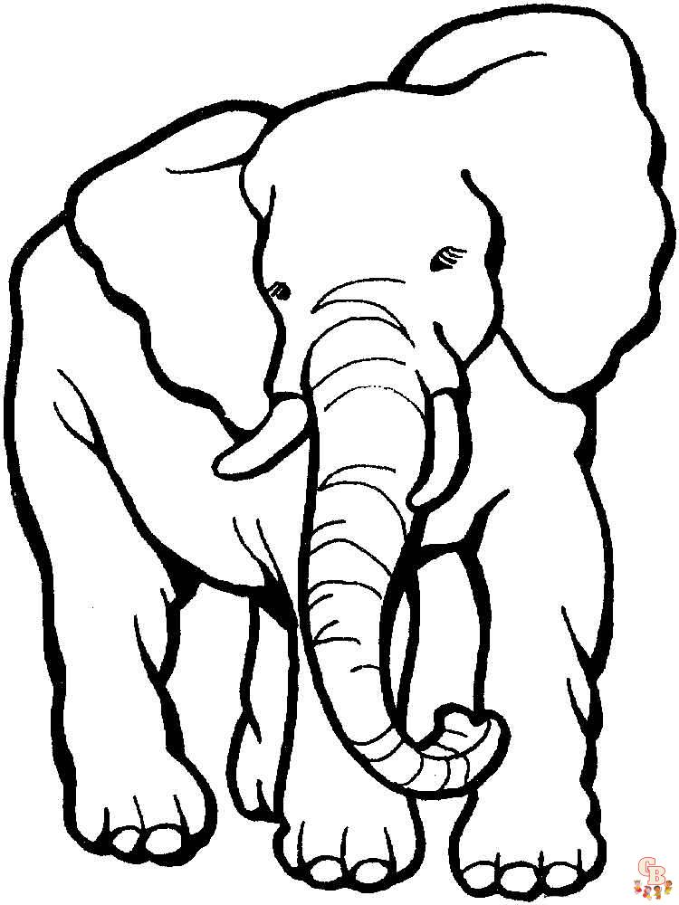 coloriage elephants