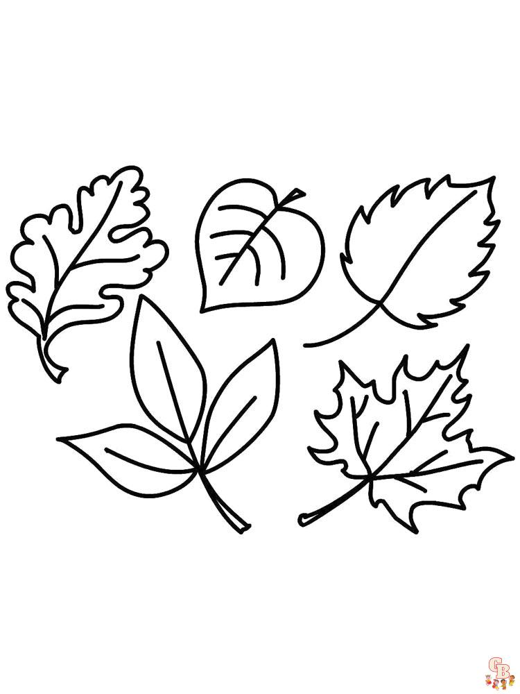 coloriage feuilles