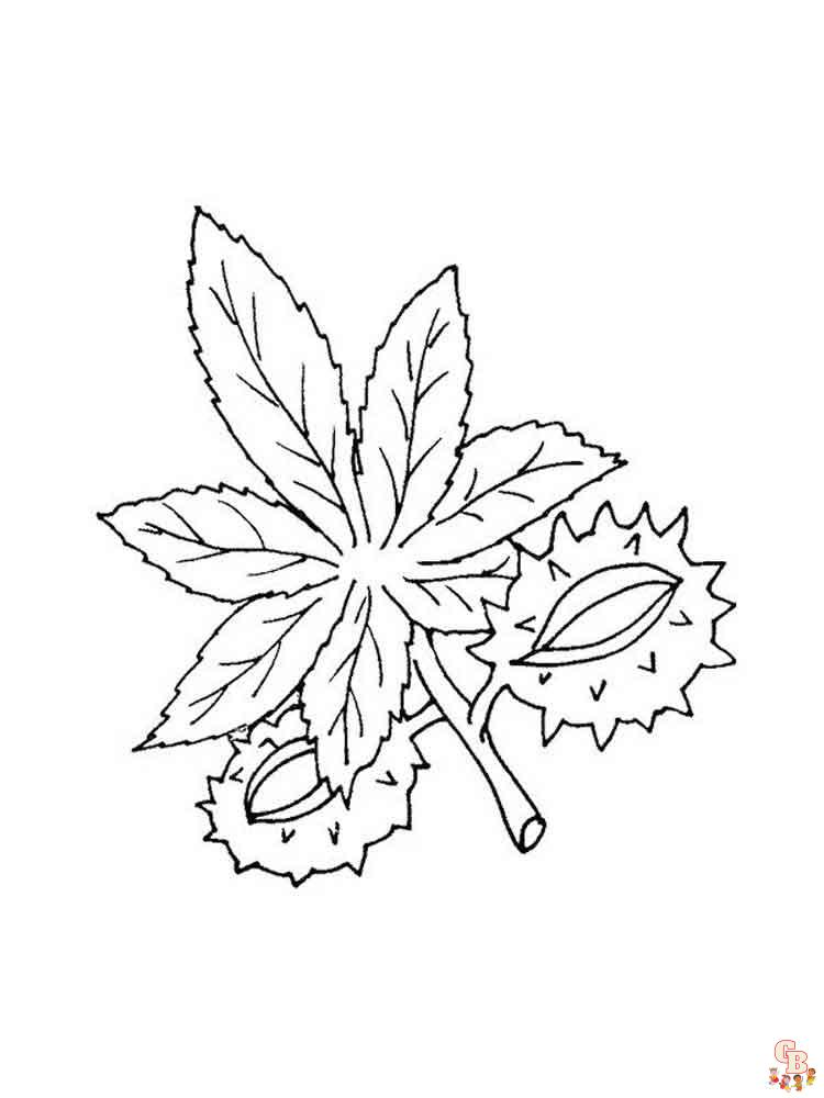 coloriage feuilles