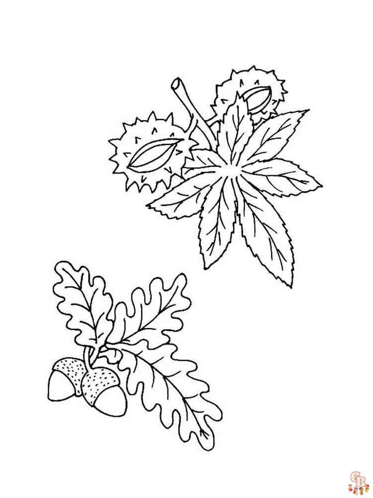 coloriage feuilles