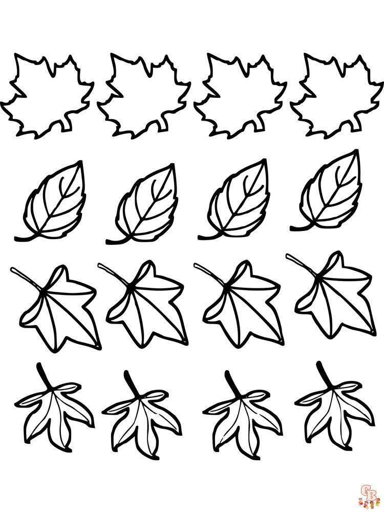 coloriage feuilles