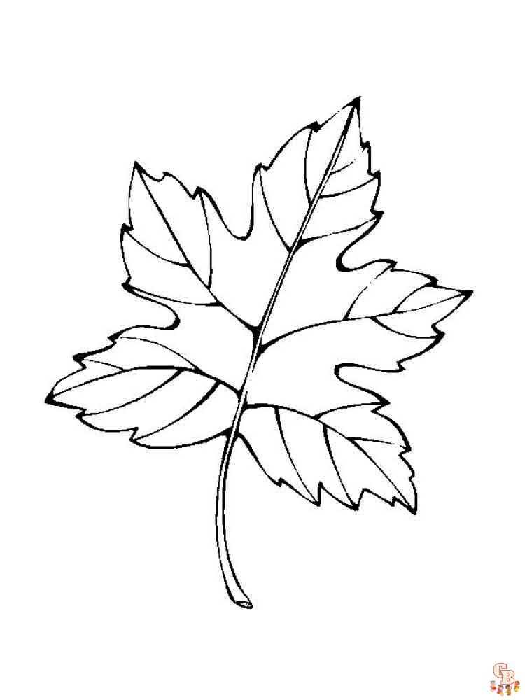 coloriage feuilles