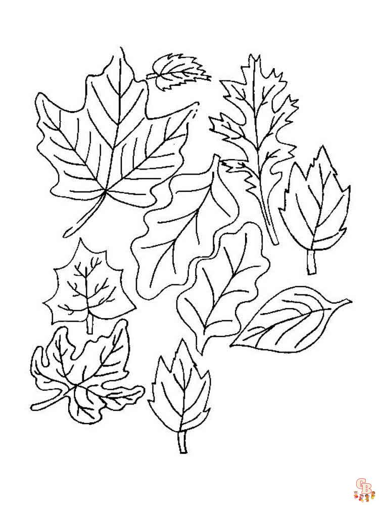 coloriage feuilles