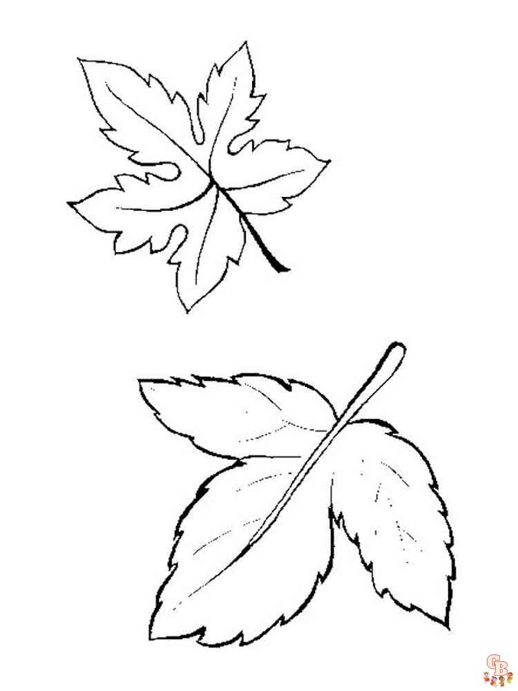 coloriage feuilles