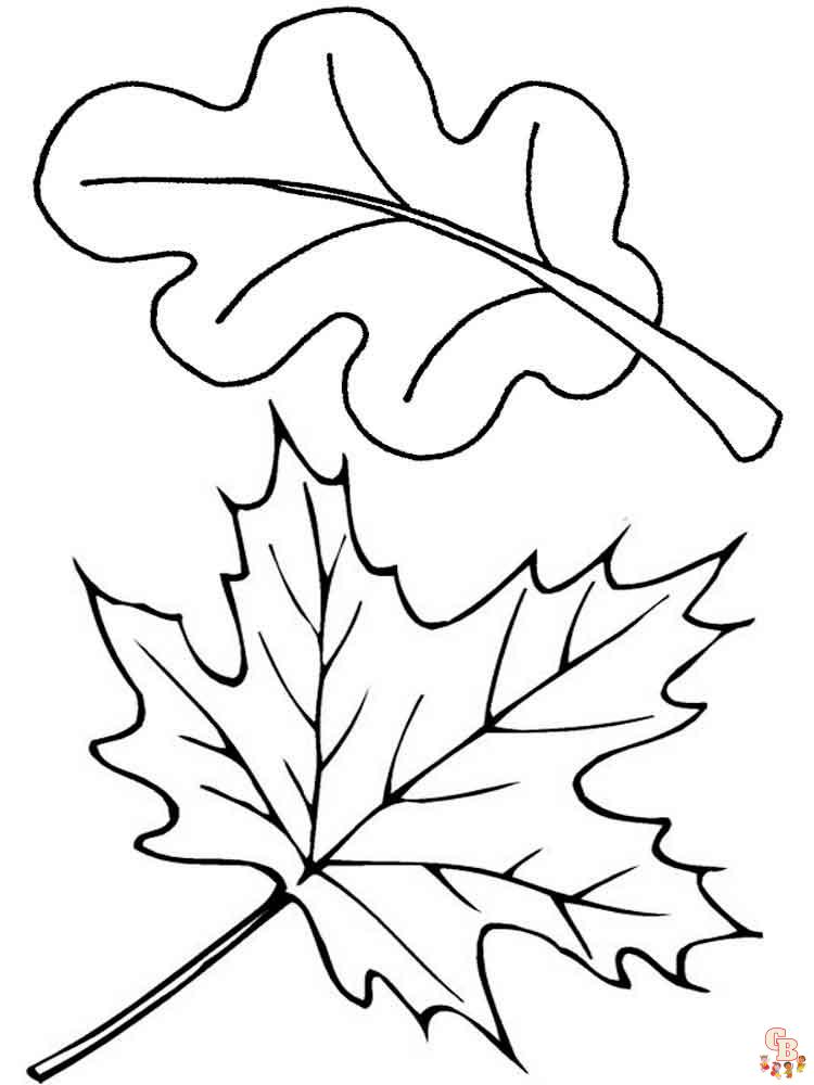 coloriage feuilles