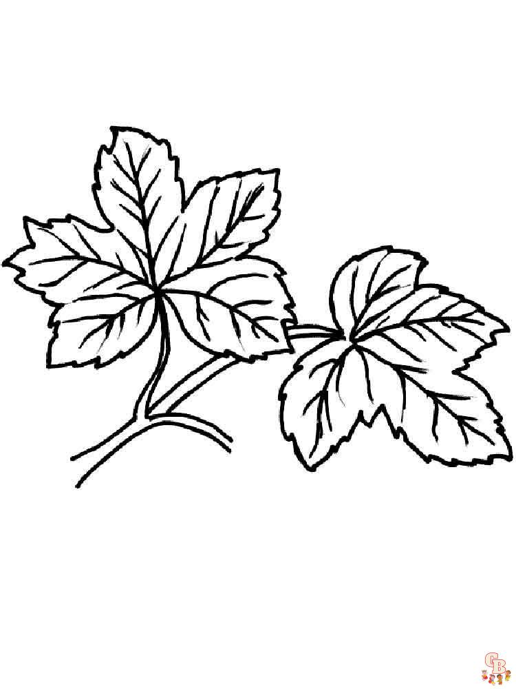 coloriage feuilles